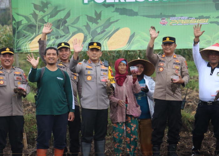 Optimalisasi Lahan Jagung, Polresta Banyuwangi Dukung Ketahanan Pangan Daerah