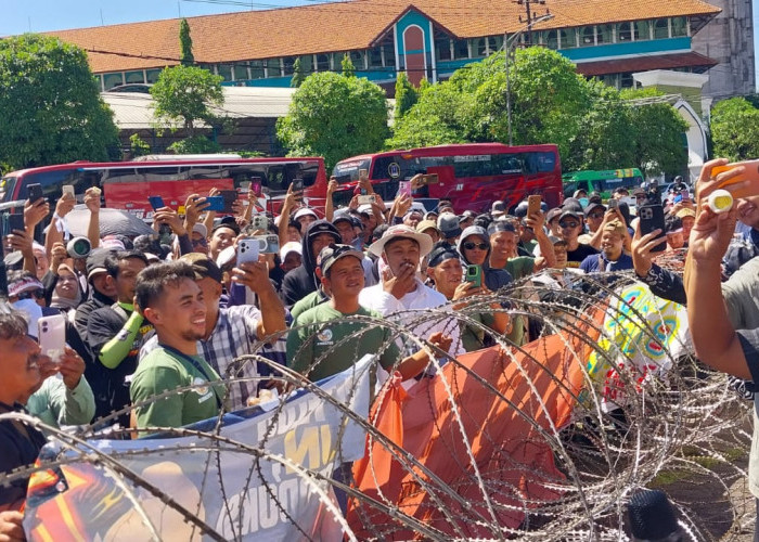 Peternak Ayam Petelur Geruduk DPRD Jatim, Protes Harga Anjlok