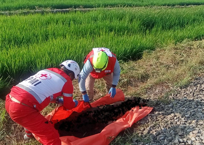 Warga Bantaran Kota Malang Tewas Tersambar Kereta Api Malabar