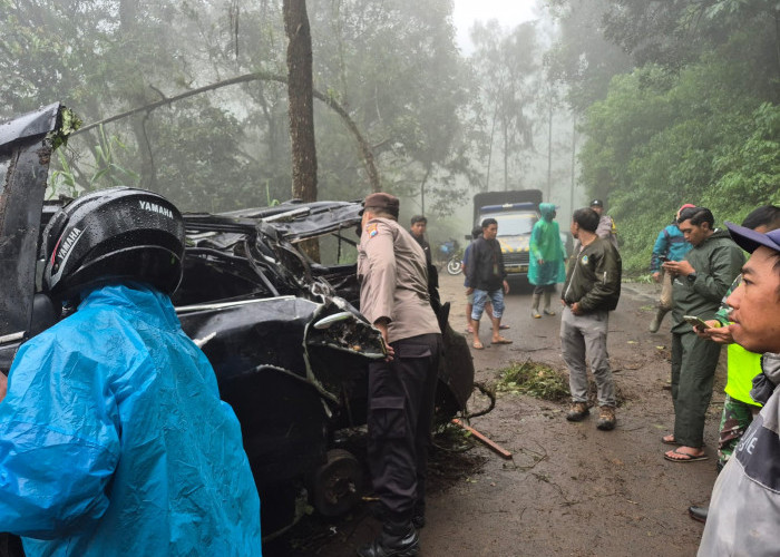Mobil Fortuner Alami Rem Blong di Jalur Bromo, Dua Penumpang Meninggal Dunia