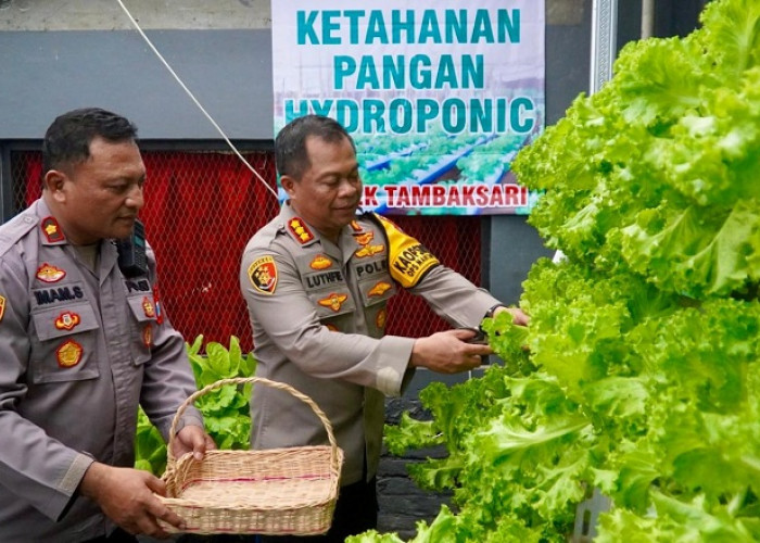 Kapolrestabes Surabaya Panen Sayur Hidroponik di Mapolsek Tambaksari