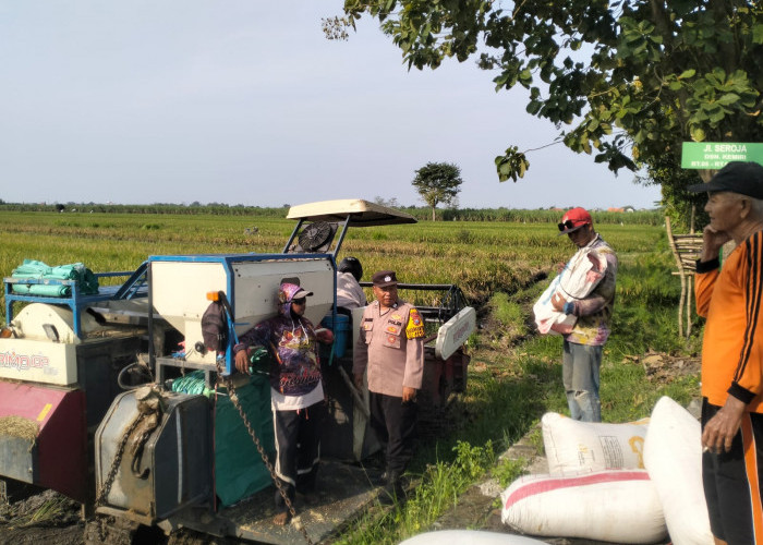 Polisi Cinta Petani Turun ke Jiken Tulangan, Apresiasi Lahan Sawah Padi Wujudkan Ketahanan Pangan