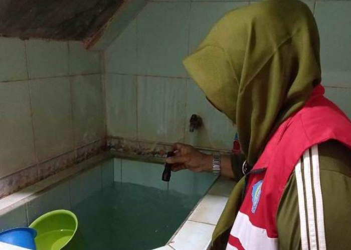 Cegah Kasus Chikungunya dan DBD, Pemkot Surabaya Gandeng ITD Unair hingga BBTKLPP