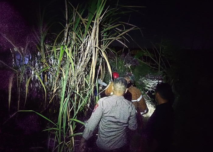 Polisi dan Damkar Ngawi Berjibaku Padamkan Kebakaran Lahan Tebu PG Soedhono di Widodaren