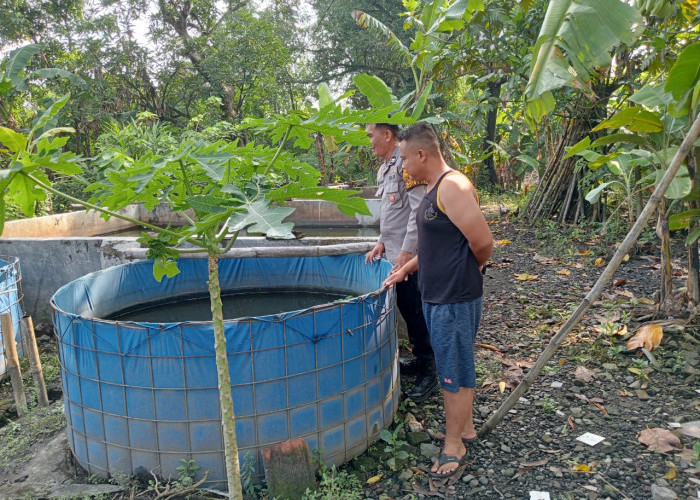 Polsek Tulangan Dukung Program Ketahanan Pangan Melalui Peternakan Ikan Lele