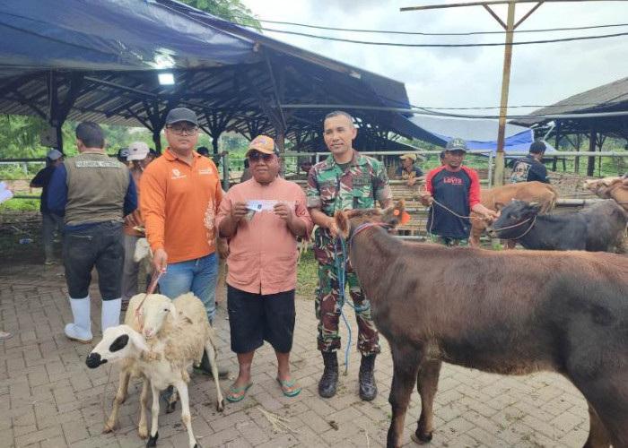 Bantuan Ternak Tahap Kedua Disalurkan untuk Buruh Tani Situbondo Terdampak Pembangunan Bandara KASA