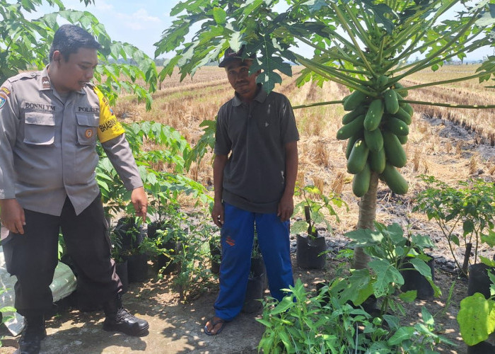 Dukung Ketahanan Pangan, Bhabinkamtibmas Kwadungan Monitoring Pekarangan Pangan Bergizi
