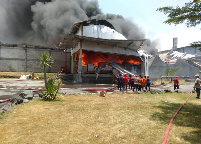 Pabrik Tisu di Mojokerto Terbakar, Satu Karyawan Tewas