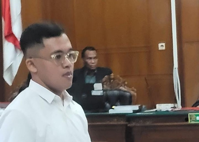 Perdagangkan Tiga Komodo ke Thailand, Verrol Putra Dituntut 10 Tahun Penjara dan Denda Rp500 Juta