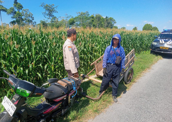 Dukung Ketahanan Pangan, Polsek Garum Blitar Sambang Petani Jagung
