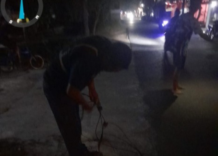 Bahaya! Kabel PJU Turi Putus di Tengah Jalan, Dishub Lamongan Gerak Cepat