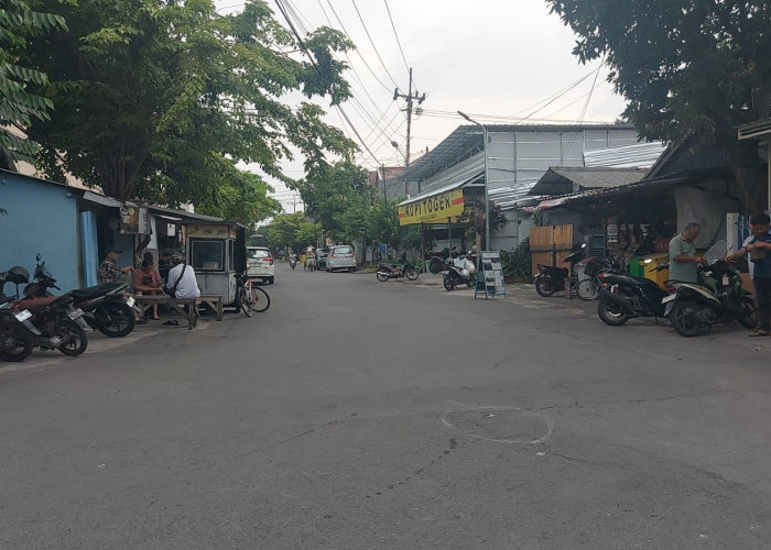 Ular Sanca Teror Warga Purwodadi: Satu Warga Luka, Empat Ular Masih Berkeliaran