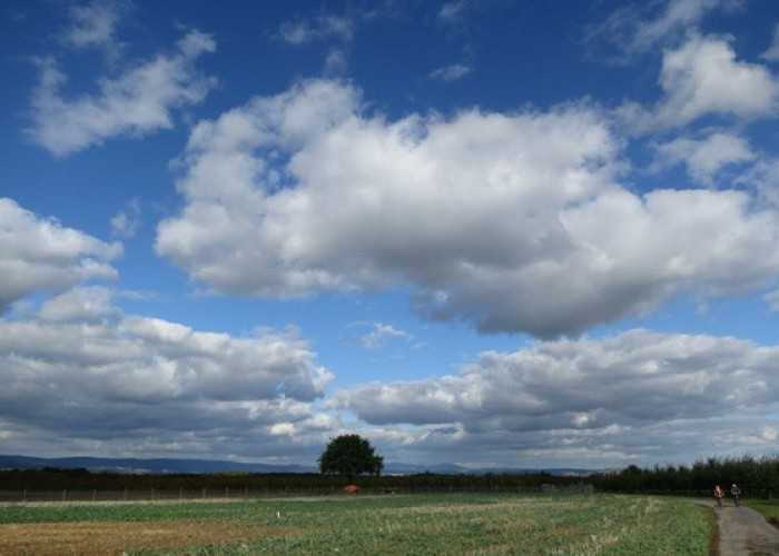 Prakiraan Cuaca Jatim 3 April 2026 Cerah Berawan di Seluruh Wilayah