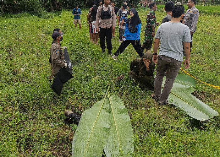 Bau Menyengat di Sawah Ungkap Jasad Kakek yang Hilang 5 Hari Lalu