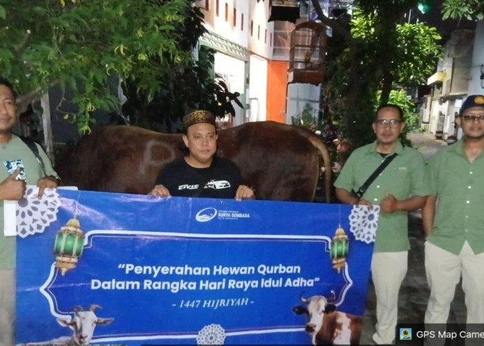 Perumda PAM Surya Sembada Surabaya Salurkan 13 Ekor Sapi Kurban 