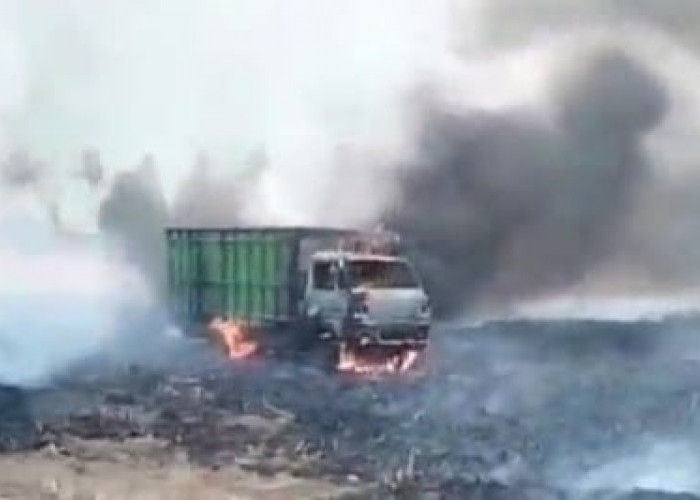 Truk Bermuatan Tebu di Situbondo Hangus Terbakar di Areal Perkebunan