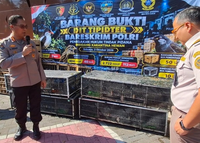 Dittipidter Bareskrim Gagalkan Penyelundupan 3.394 Burung di Sidoarjo