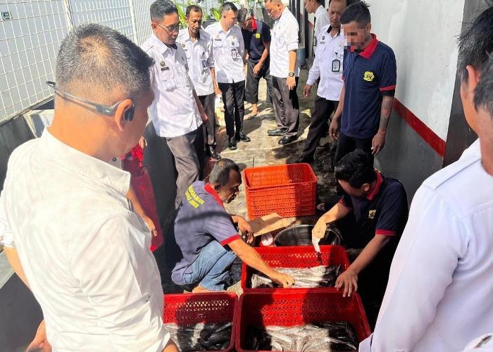 Panen Raya Lele Lapas Jember, Bukti Nyata Pembinaan WBP dan Kontribusi pada Ketahanan Pangan Nasional