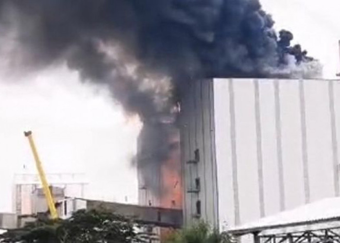 Pabrik NPK Petrokimia Gresik Terbakar, Terjunkan Bronto Skylift