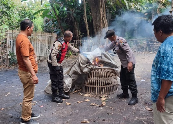 Arena Judi Sabung Ayam Seketi Balongbendo Bubar