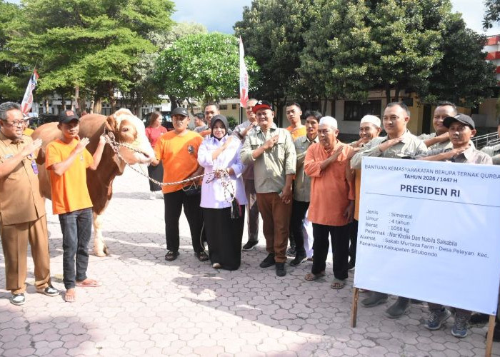 Warga Dusun Terpencil Situbondo Arak 'Jaguar' Sapi Kurban Presiden Prabowo 