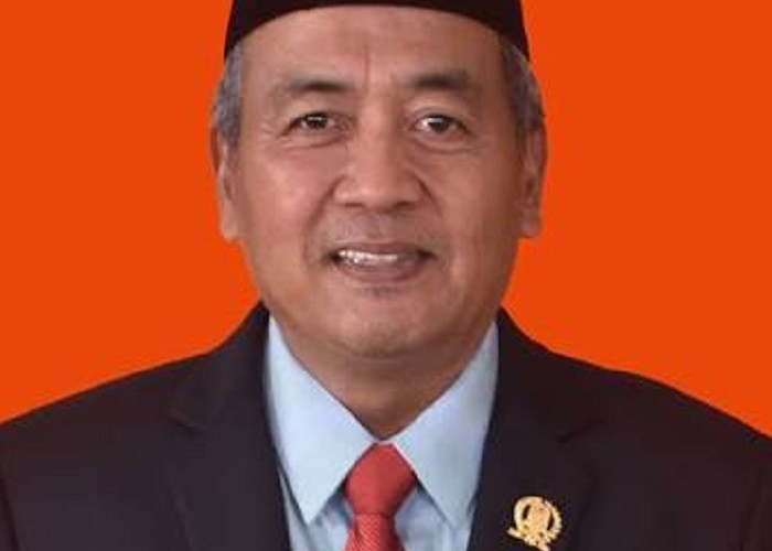 BNN Ungkap 3,37 Ton Kuncup Ganja di Gresik, DPRD Jatim Sebut Terbesar dalam Sejarah
