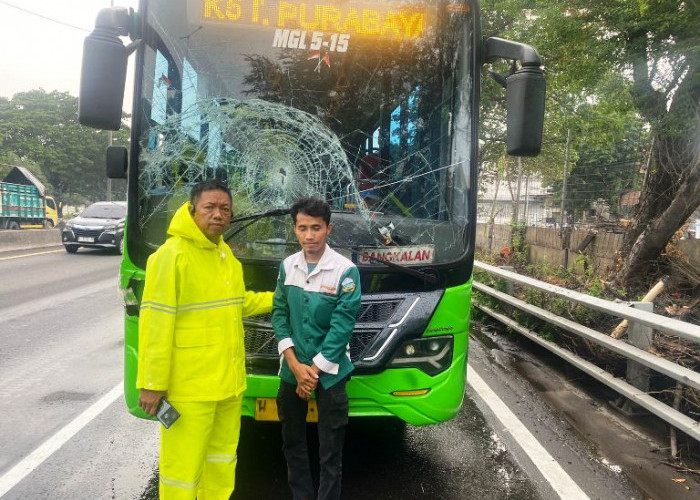 Sopir Hilang Konsentrasi, Bus Trans Jatim Tabrak Truk di Tol Satelit