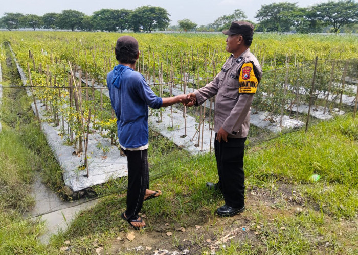 Dukung Ketahanan Pangan di Ngawi, Polsek Geneng Patroli Pekarangan Bergizi 