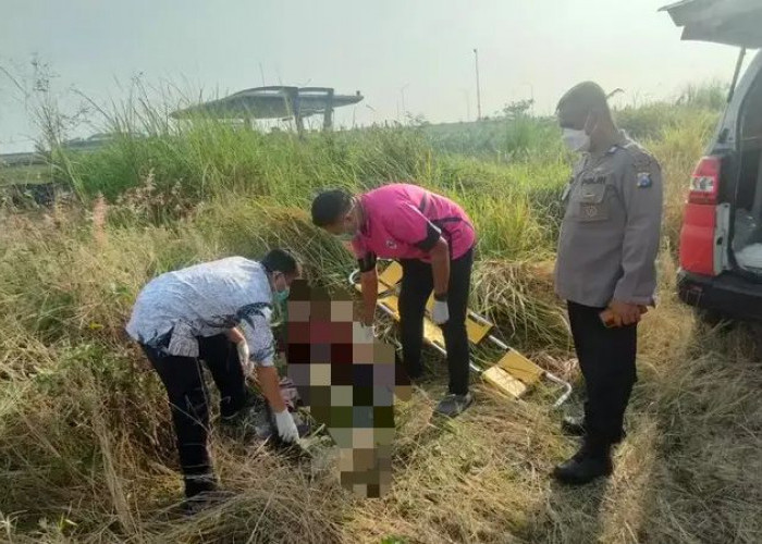 Pamit Cari Rumput dan Besi Bekas, Warga Driyorejo Gresik Ditemukan Tewas Dekat Exit Tol