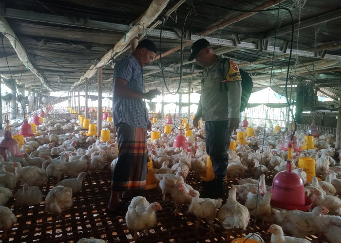 Bhabinkamtibmas Polsek Sempu Dampingi Pemanfaatan Pekarangan Rumah Budi Daya Ternak Ayam