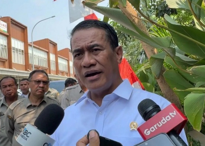 Pemerintah Jaga Produksi Padi di Tengah Ancaman El Nino 2026
