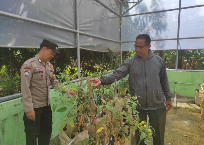 Bhabinkamtibmas Widodaren Ajak Warga Optimalkan Lahan Produktif untuk Ketahanan Pangan