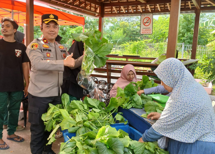 Dukung Ketahanan Pangan, Polres Pelabuhan Tanjung Perak Panen Sawi Hidroponik dan Berdayakan Ekonomi Warga