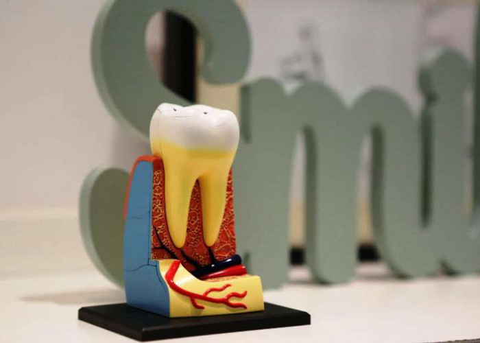 Bye Bau Mulut, Ini Cara Mudah Menjaga Kebersihan Mulut