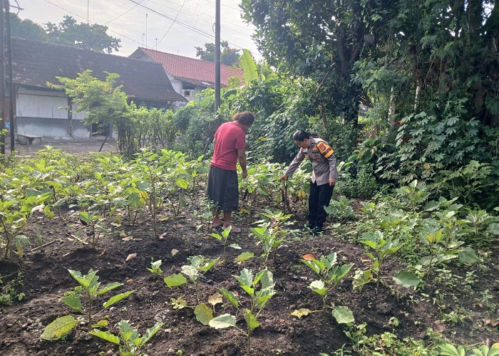 Bhabinkamtibmas Ngrambe Pantau Pekarangan Sayuran untuk Dukung Ketahanan Pangan Warga Ngawi