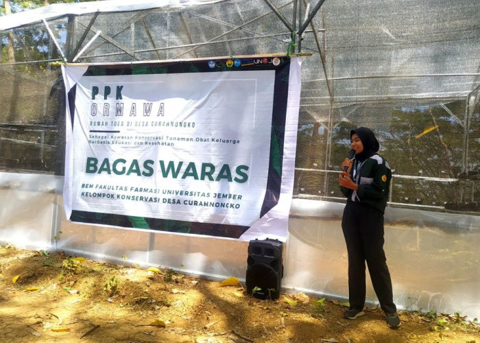 Tim PPK Ormawa Fakultas Farmasi Unej Jember Launching Rumah Toga di Desa Curahnongko