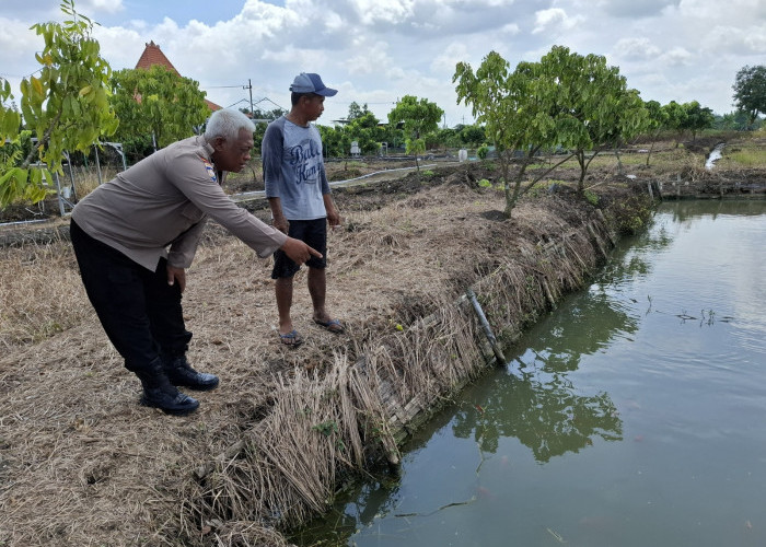 Polsek Wonoayu Cek Progres Budi Daya Nila di Desa Simoketawang