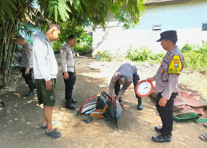Polisi Gerebek Arena Sabung Ayam di Pasuruan,  5 Ekor Jago Diamankan