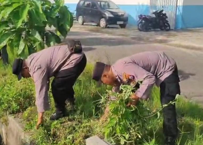 Antisipasi Banjir, Tiga Pilar Kalitidu Kompak Gelar Karya Bakti Bersihkan Gorong-gorong
