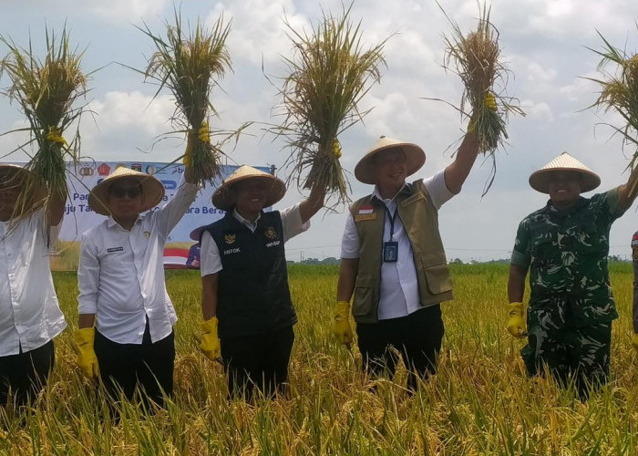 Wujudkan Swasembada Pangan, Dirut Bulog Pimpin Panen Raya di Ngawi