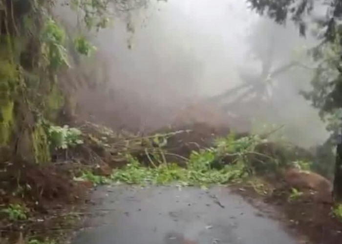 Jalur Bromo Terputus Akibat Tanah Longsor, Wisatawan Sempat Jalan Kaki