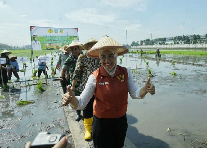 Gerak Cepat Hadapi Kemarau, Pemkot Mojokerto Gelar Tanam Serempak Jaga Ketahanan Pangan