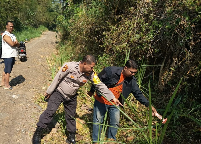  Cari Pakan Ternak, Warga Lumbang Pasuruan Tewas Terjatuh dari Pohon Nangka