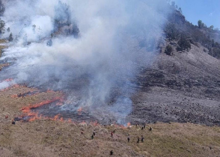 Polda Jatim Ambil Alih Kasus Kebakaran Gunung Bromo