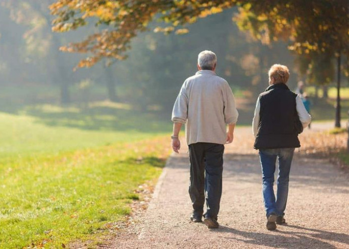 Manfaat Berjalan Kaki 30 Menit Sehari untuk Kesehatan Jantung dan Otak