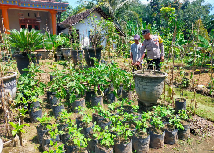 Bhabinkamtibmas Sine Ajak Warga Optimalkan Pekarangan, Dukung Ketahanan Pangan Keluarga