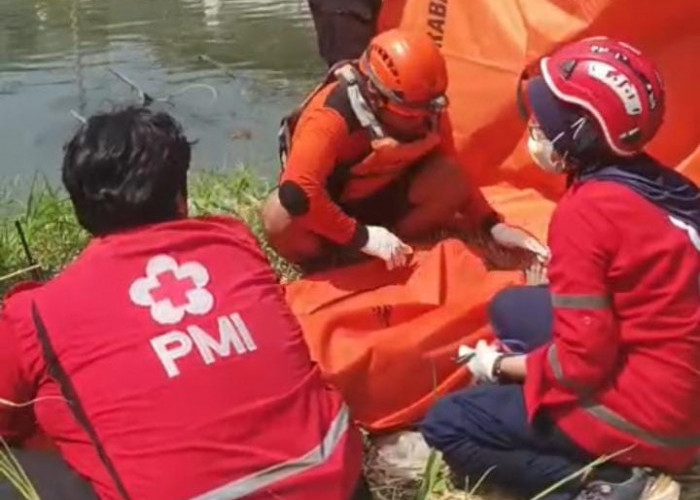 Mayat Wanita 81 Tahun Mengapung di Sungai Jembatan Karimun Jawa