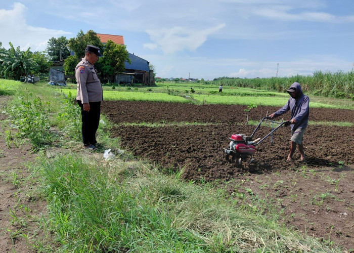 Polisi Dampingi Warga Pangkemiri Tulangan Kelola Pekarangan Pangan Bergizi