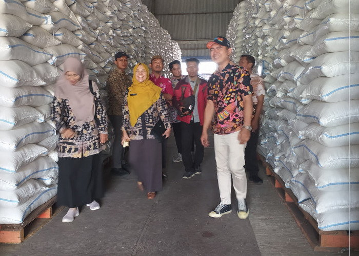 Ironi Beras Ngawi: Stok Melimpah, Harga Tinggi, Pemda Tak Bisa Apa-apa!