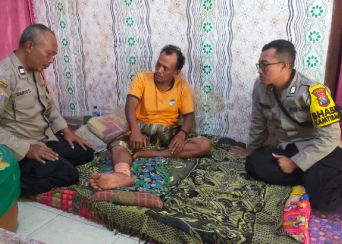 Monyet Liar Berulah di Jember, Serang Warga hingga Ada yang Urat Kakinya Putus